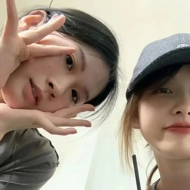 隐形红翼